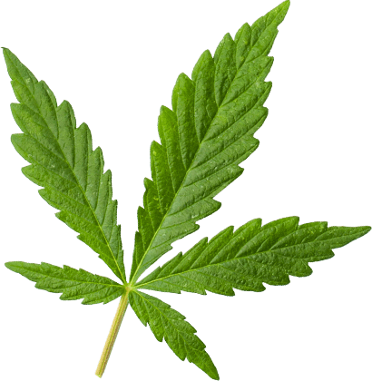 https://cutleafstore.com/wp-content/uploads/2018/12/marijuana_leaf_large.png